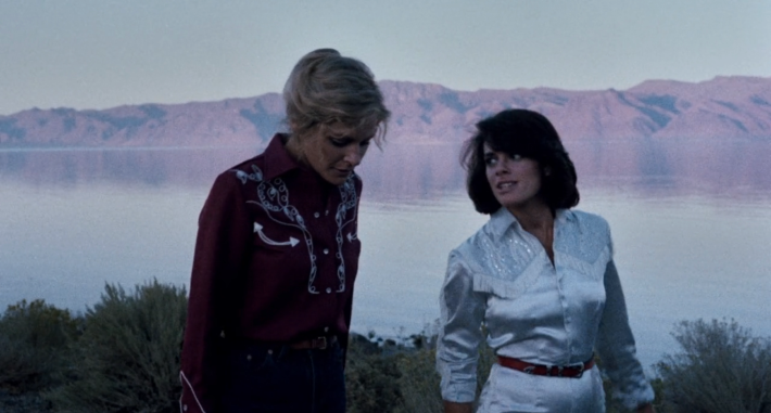 A still from the movie Desert Hearts in which a blonde woman in a red western shirt walks with a brunette woman in a white western fringe jumpsuit against a beautiful dawn sky by a lake